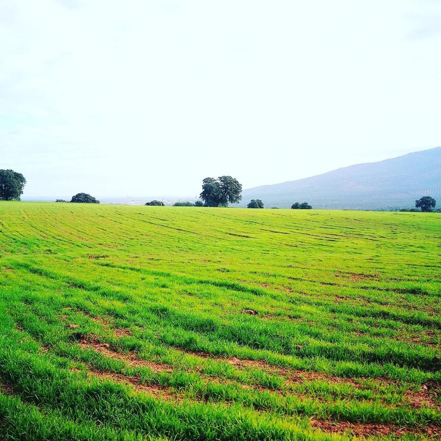 Finca El Vizconde Naturaleza Con Tus Hijos Arquillos Extérieur photo