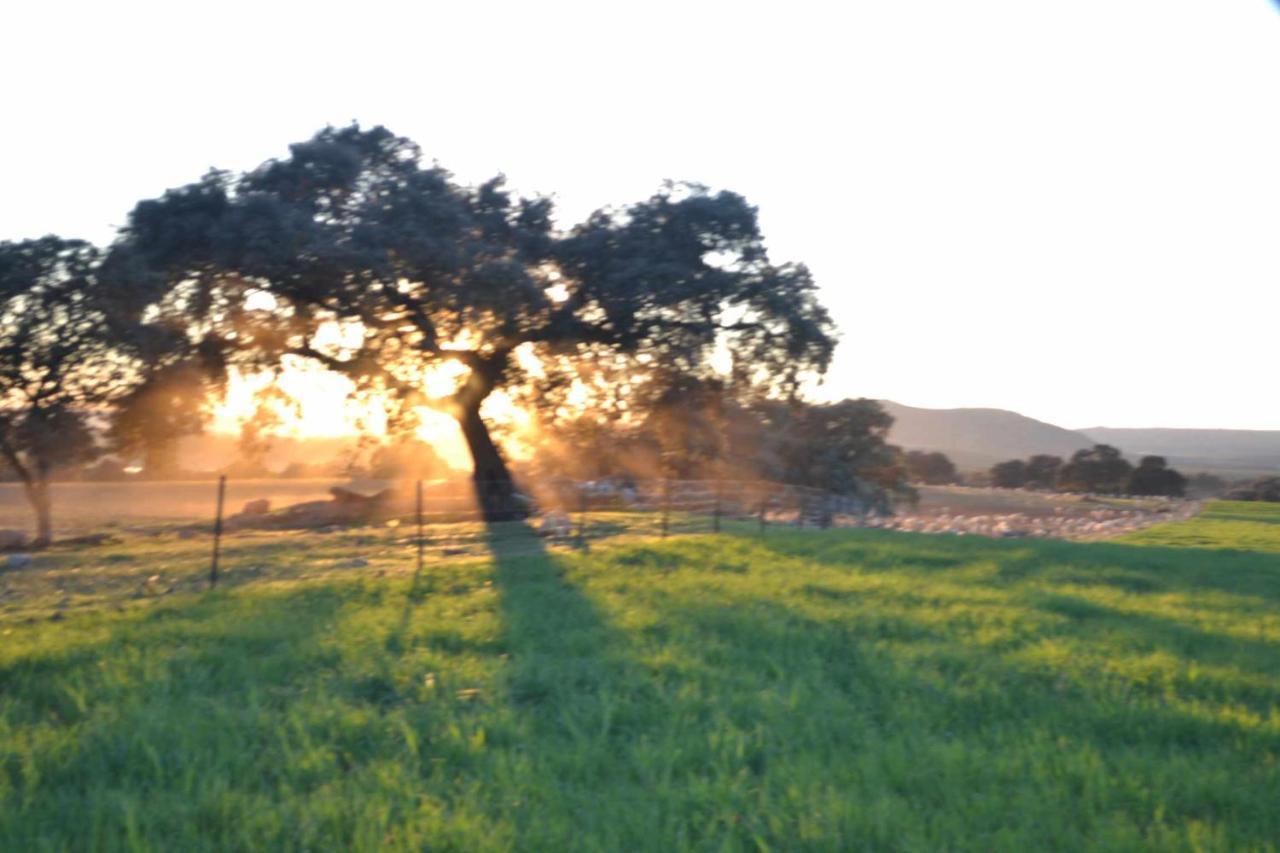 Finca El Vizconde Naturaleza Con Tus Hijos Arquillos Extérieur photo