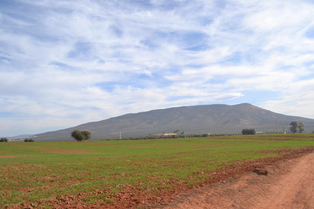Finca El Vizconde Naturaleza Con Tus Hijos Arquillos Extérieur photo