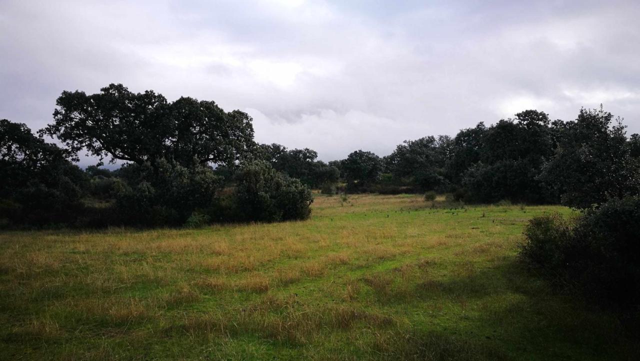Finca El Vizconde Naturaleza Con Tus Hijos Arquillos Extérieur photo