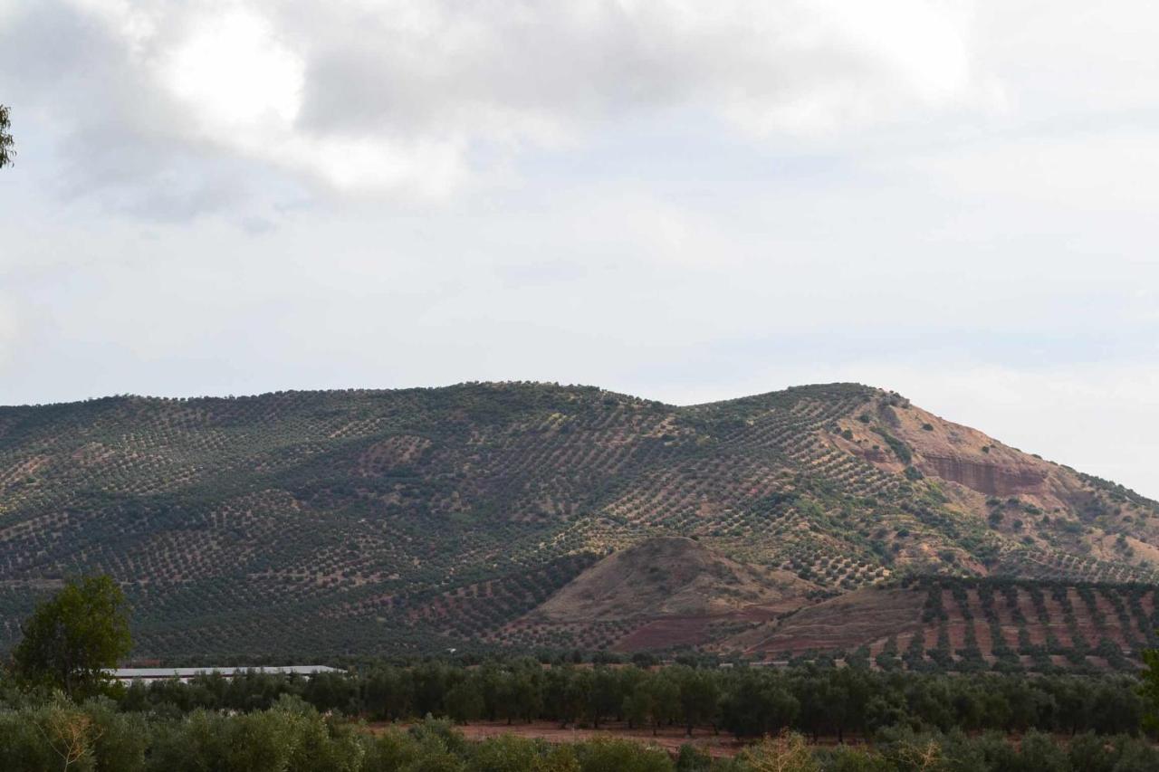 Finca El Vizconde Naturaleza Con Tus Hijos Arquillos Extérieur photo