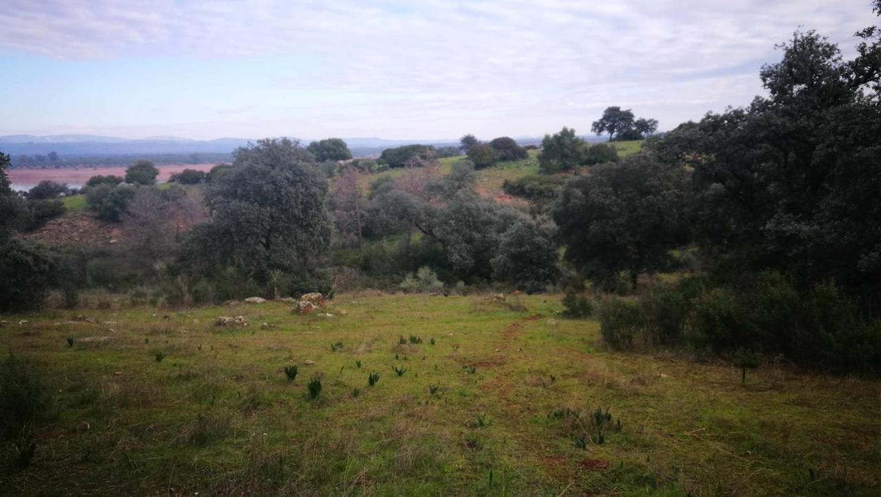 Finca El Vizconde Naturaleza Con Tus Hijos Arquillos Extérieur photo