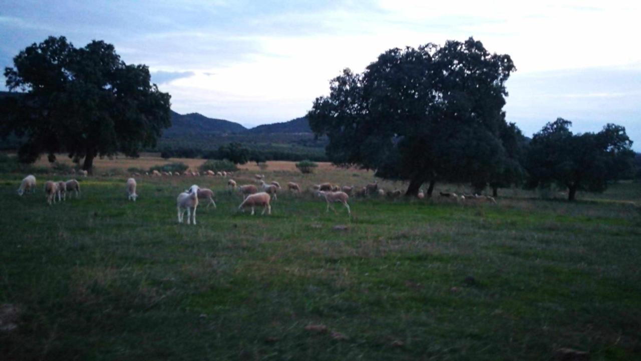 Finca El Vizconde Naturaleza Con Tus Hijos Arquillos Extérieur photo
